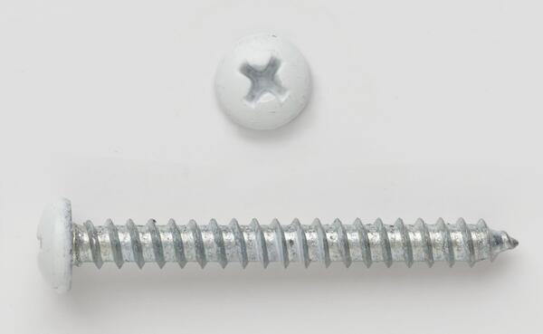 BP83W PAN PHIL WHITE REGISTER SCR 8 X 3